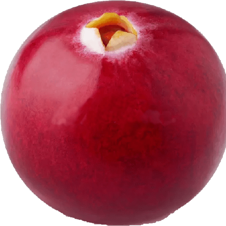 Cranberry Jammer Documentation Github Topics Github - Download Ultra HD Ocean Picture | Ultra HD