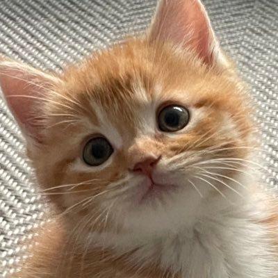 Paul S Jeon Github - Retina Abstract Arts for Desktop