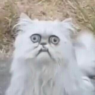 Sky Tkp Gu Npe Tnnx Github - Desktop Geometric Pictures for Desktop