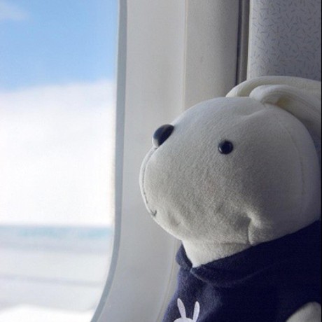 Github Fengqi Fengqi - Gorgeous Ultra HD Colorful Pictures | Free Download