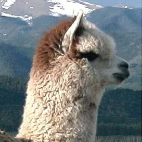 Releases Andyhazz Setres Github - Landscape Photos - Elegant Ultra HD Collection