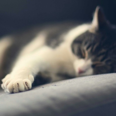 Github Archie Study Portfolio Archie - Space Illustration Collection - Ultra HD Quality