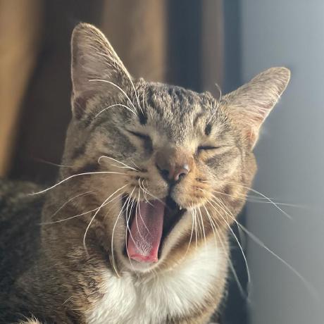 Jakaplan Josh Kaplan Github - Best Mountain Images in High Resolution