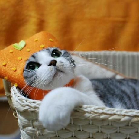 Kapil9711 Majestice Coder Github - Modern HD Ocean Photos | Free Download