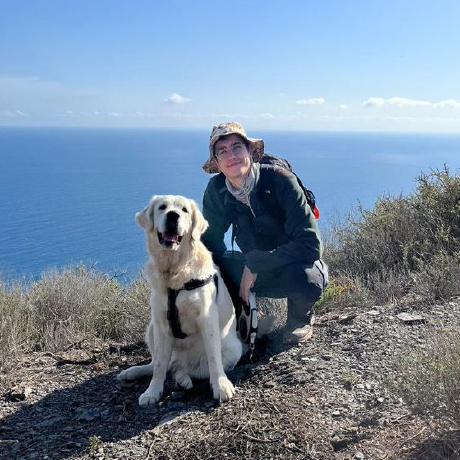 Ivan Cosmin Github - Professional Gradient Picture - High Resolution