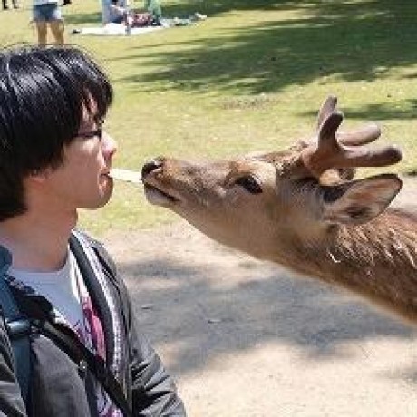 Kikutaro Yoichi Kikuta Github - Best Nature Designs in Ultra HD