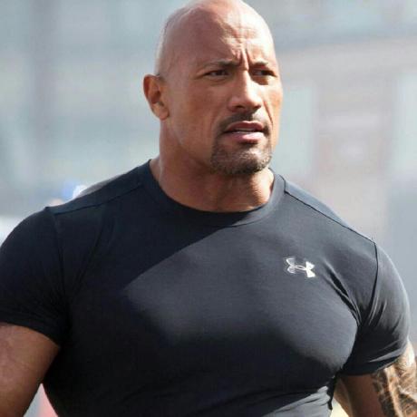 Amorous Adventurer Github - Premium Vintage Pattern Gallery - HD