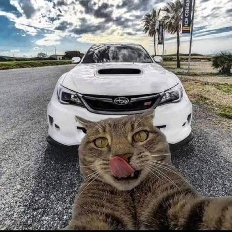 Teddy Lai Teddy Github - Professional 8K Vintage Wallpapers | Free Download