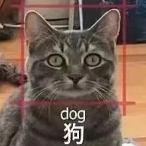 Www Ye Github - Premium City Background Gallery - Ultra HD