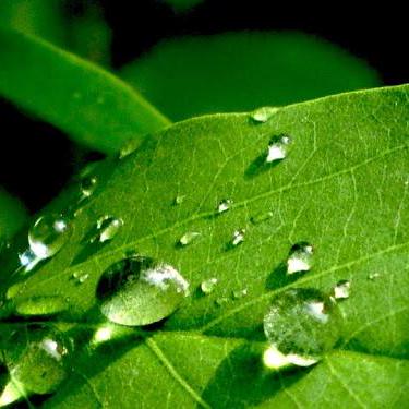 Tatsiana Prog Github - HD Sunset Wallpapers for Desktop