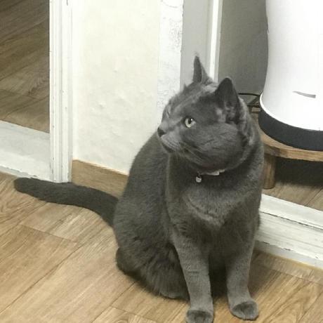 Github Hyungkuim Mvcjava - Desktop Landscape Textures for Desktop