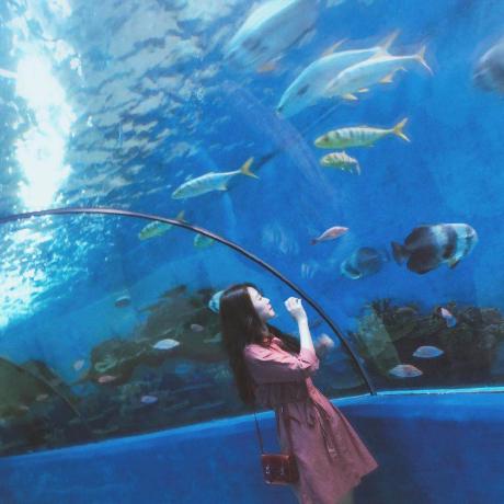 Xu Nuo Xu Xunuo Github - Best Dark Textures in High Resolution