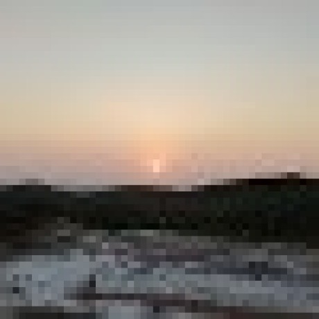 Adityadxttx Aditya Dutta Github - Premium Vintage Photo Gallery - High Resolution