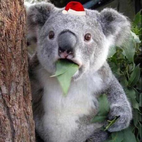 Github Abigpush Guangyu Manager - Ultra HD High Resolution Landscape Pictures | Free Download