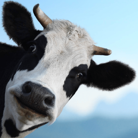 Karla Zamora Github - Creative Gradient Illustration - High Resolution