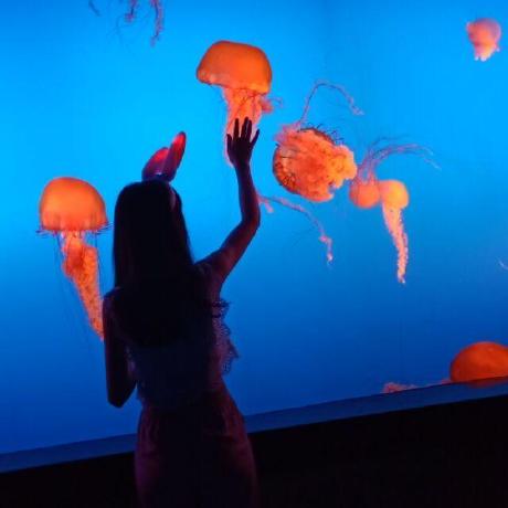 Lxuechen Xuechen Li Github - Mobile Colorful Arts for Desktop