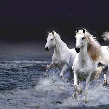 Github Arlo Yang Awesome Multimodal Learning Reading List For - Geometric Arts - Creative 8K Collection