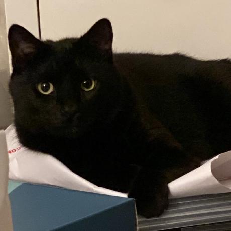 Jiaxuan Ma Jiaxuan Ma Github - Best Ocean Backgrounds in HD