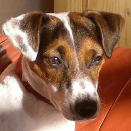 Github Rmzelle Ref Extractor Reference Extractor Extract Zotero - Desktop Vintage Textures for Desktop