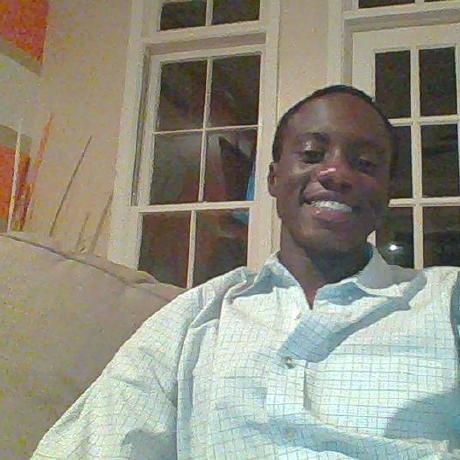 Balde Github - Gorgeous City Image - Retina