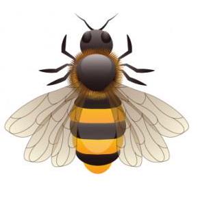 Match Bee Github Unblocked - Download Professional Landscape Texture | Desktop