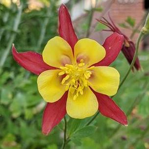 Rsfarrow Sam Farrow Github - Best Nature Wallpapers in Ultra HD