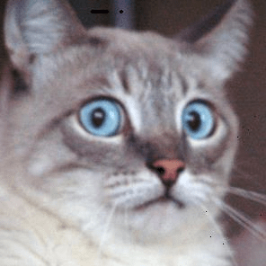 Hoyle Github - Download Amazing Nature Art | 4K