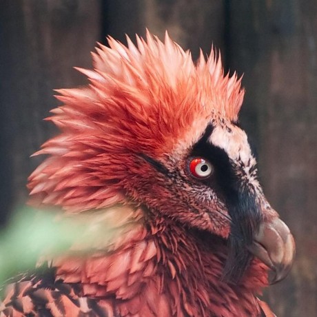 Liam Jones Liamjones Twitter - 8K Space Photos for Desktop