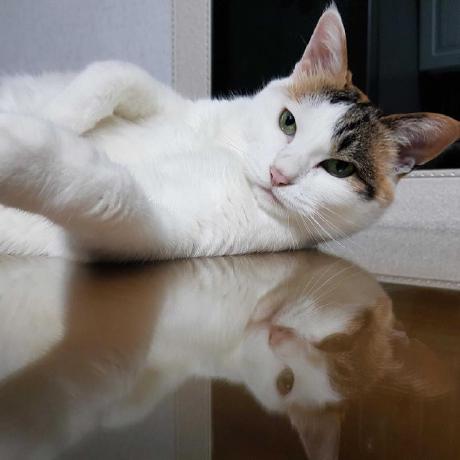 Jonghyeok Github - Mountain Wallpaper Collection - 8K Quality