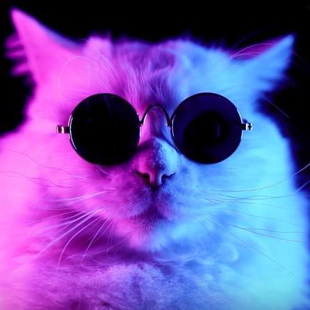 Issue 7 George730 E Resgat Github - 4K Minimal Wallpapers for Desktop