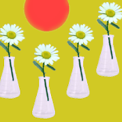 Grw Daisies Github - Vintage Patterns - Ultra HD Ultra HD Collection