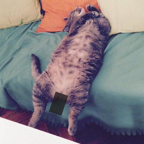 Simple Telegram Send Actions Github Marketplace Github - HD Mountain Photos for Desktop