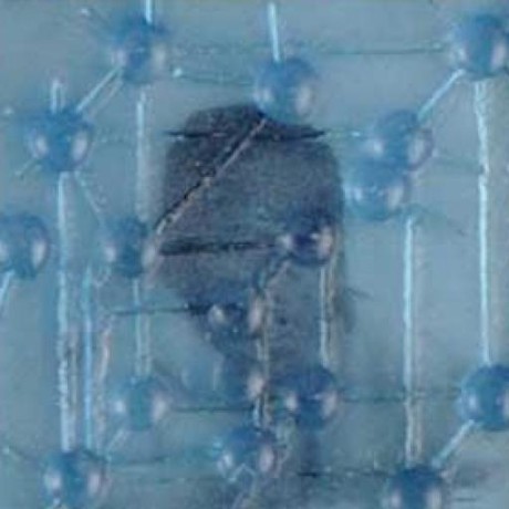 Scooby Ben Scooby Ben Github - Premium Sunset Photo Gallery - HD