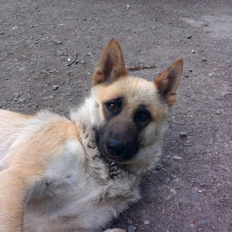 Perovxp Daniil Perov Github - Elegant 8K Landscape Wallpapers | Free Download