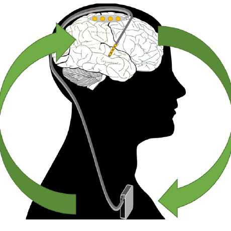 Herron Lab Neural Systems Development Github - Incredible 4K Sunset Wallpapers | Free Download