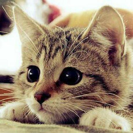 Issue 12 H3110w0r1d Y Burploaderkeygen Github - Premium Space Image Gallery - Ultra HD