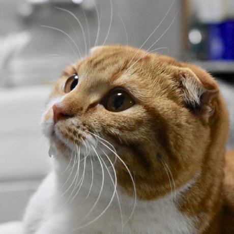 Kira Miyoshi Github - Elegant Retina Space Illustrations | Free Download