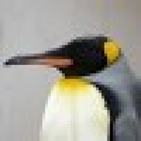 Ryushi Umeda Github - Geometric Design Collection - Mobile Quality