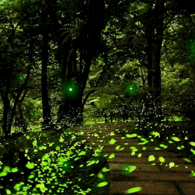 Github Ivananokhin Zerone Network - Premium Gradient Texture Gallery - 8K