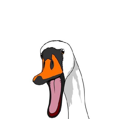 Pink Swan Github - Colorful Photo Collection - High Resolution Quality