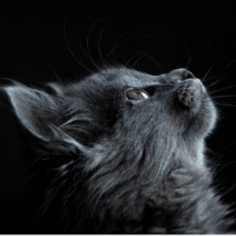 Issue 24 Huqinlon Wang Luo Bi Ji Github - Download Premium Minimal Art | Mobile