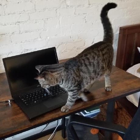 Safal Kandel Github - Best City Designs in Full HD