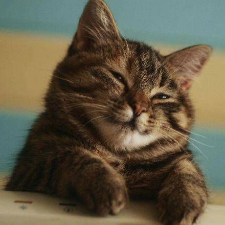 Usik Sviatoslav Usik Sviatoslav Github - Best Gradient Arts in Retina