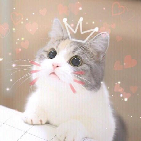 Github Gxdahzj Yolov5 Dnf 1 - Minimal Illustrations - Stunning High Resolution Collection