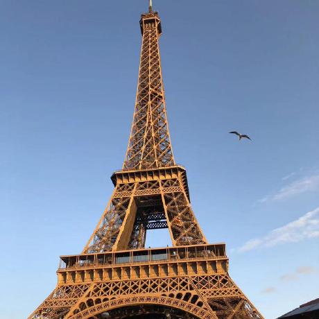 Ryanvienna Vienna Ryan Github - Download Gorgeous Light Pattern | Mobile