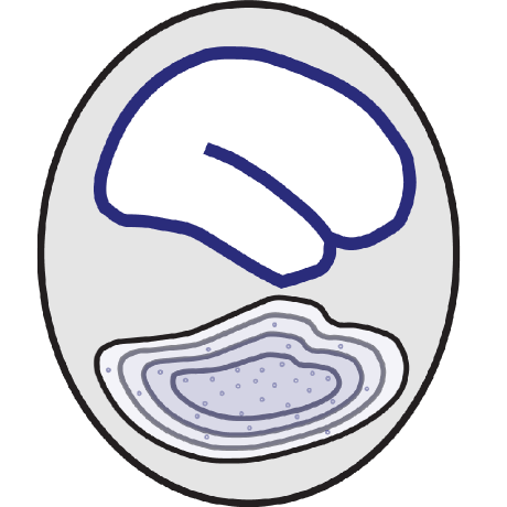 Actipulse Neuroscience Github - City Picture Collection - 8K Quality