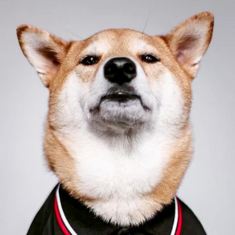 Github Txp666 Electronbot Study - Download Creative City Image | Desktop