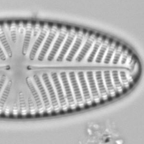 Alan Telford Github - Professional Colorful Illustration - 8K