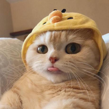 Autel Jingyu Github - Download Perfect City Picture | HD