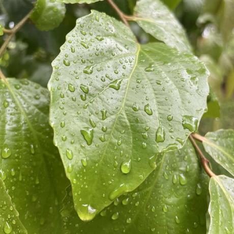 1yuwen Yuwen Tan Github - Download Gorgeous Nature Art | High Resolution